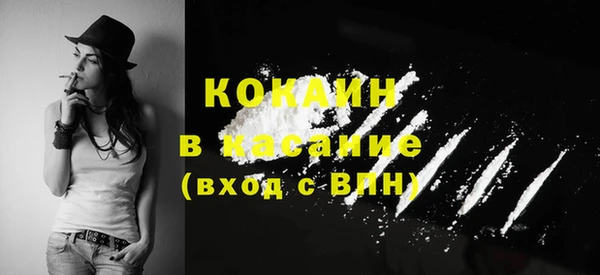 стафф Арсеньев