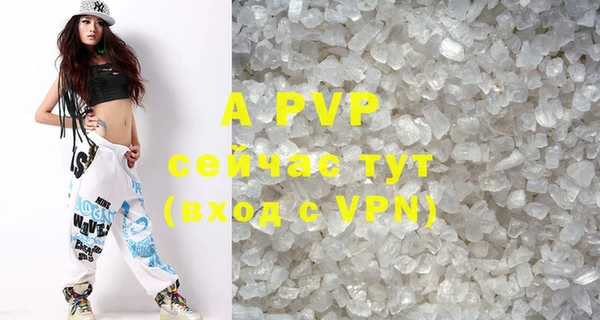 стафф Арсеньев