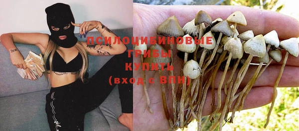 соль курить ск Аркадак