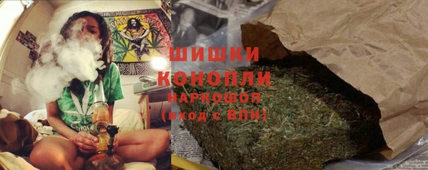 ПСИЛОЦИБИНОВЫЕ ГРИБЫ Алексеевка